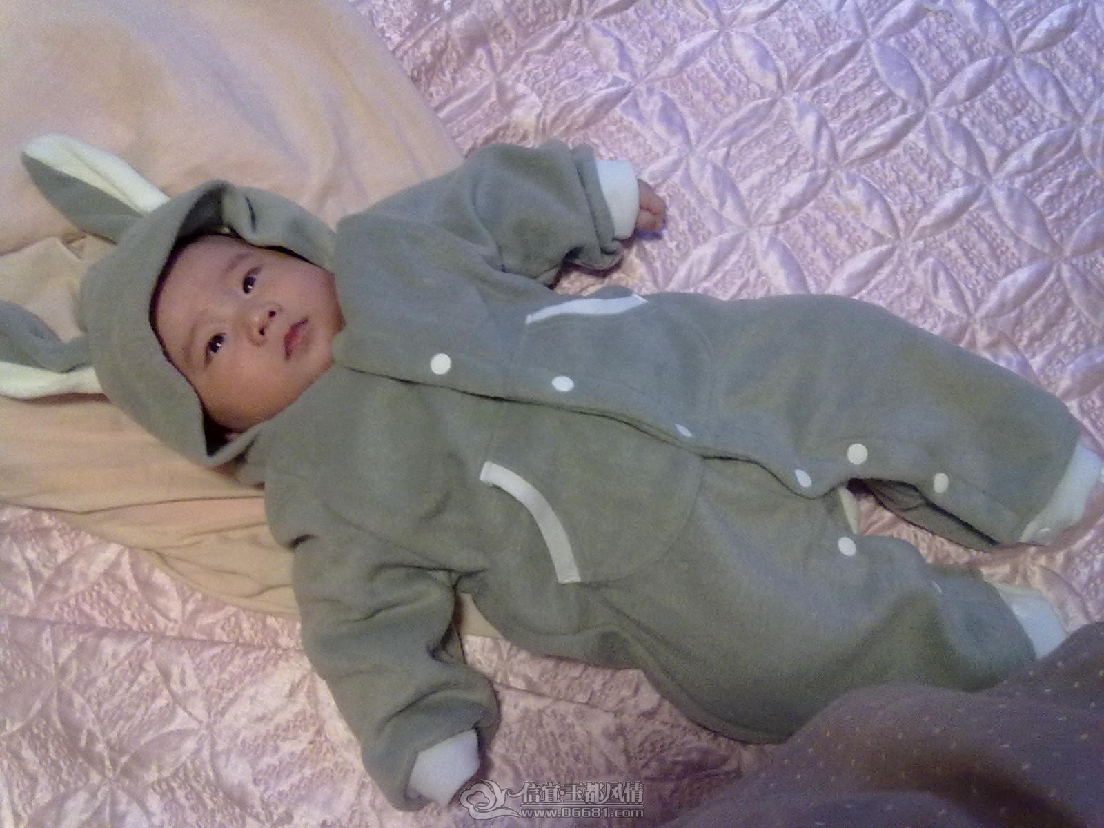 20121028451.jpg
