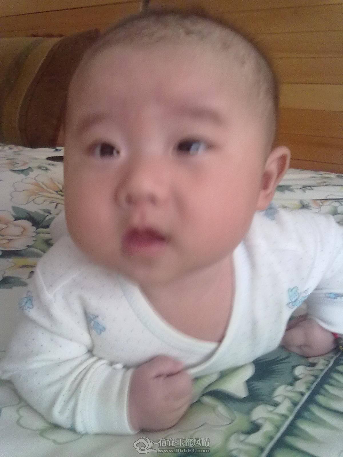 20121031453.jpg