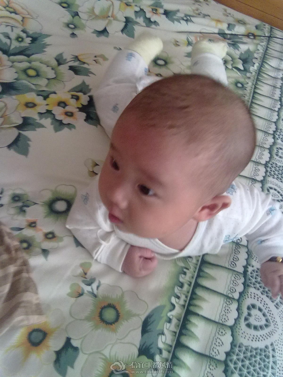 20121031459.jpg