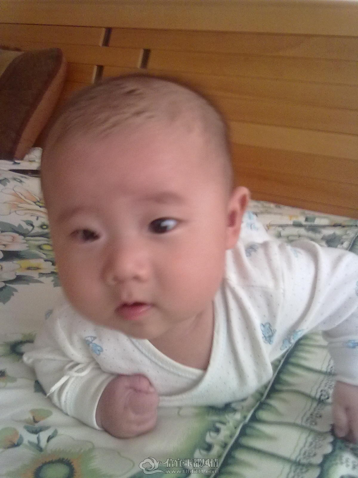 20121031460.jpg