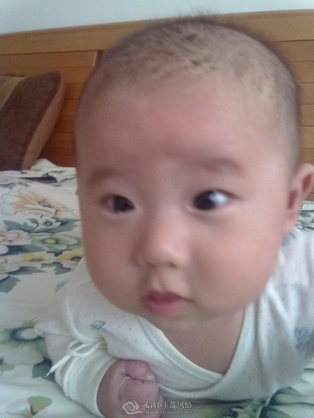 20121031461.jpg