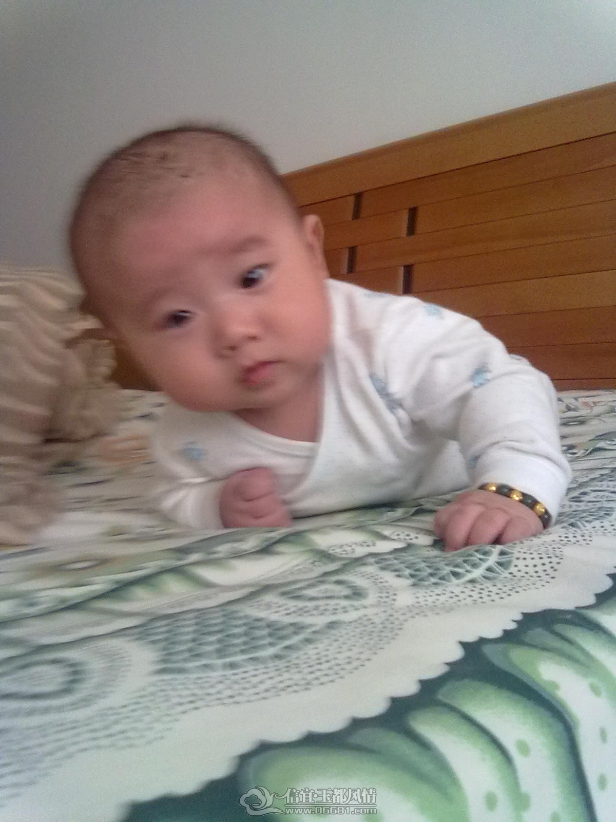 20121031463.jpg