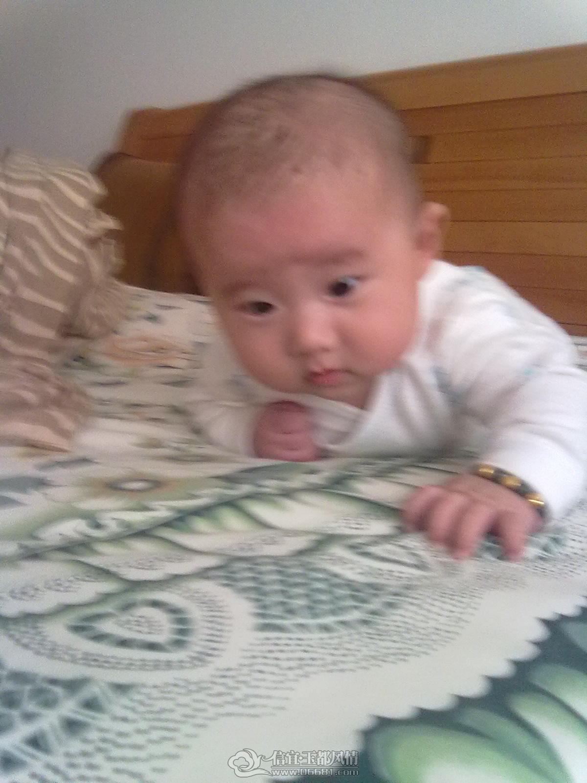 20121031464.jpg