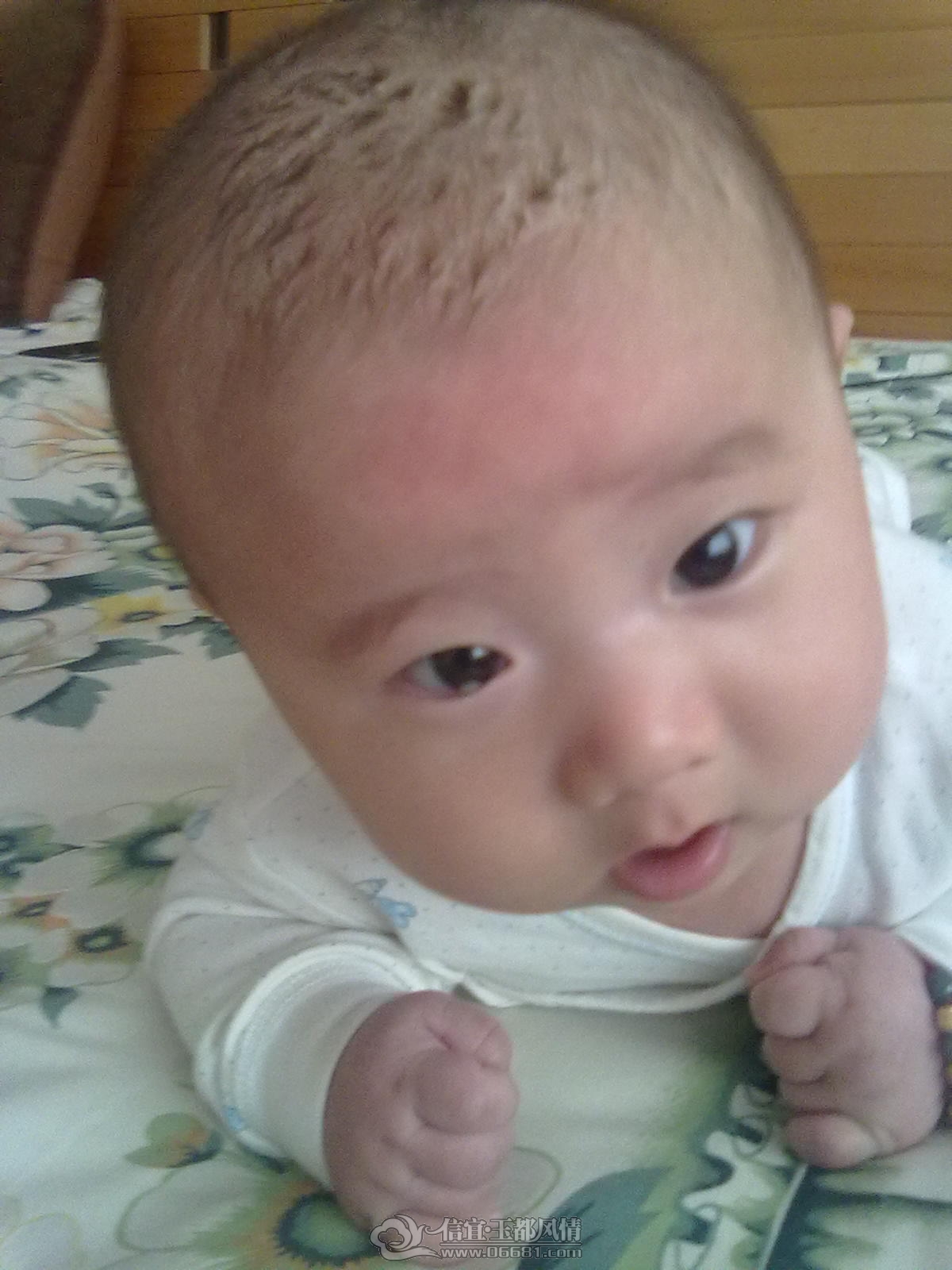 20121031465.jpg