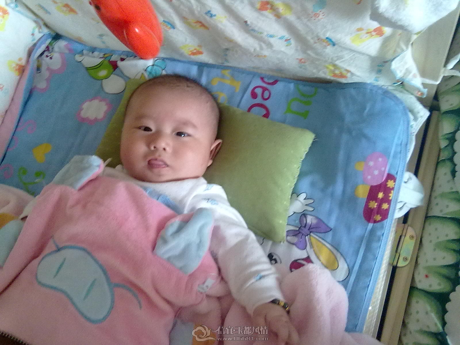20121031467.jpg