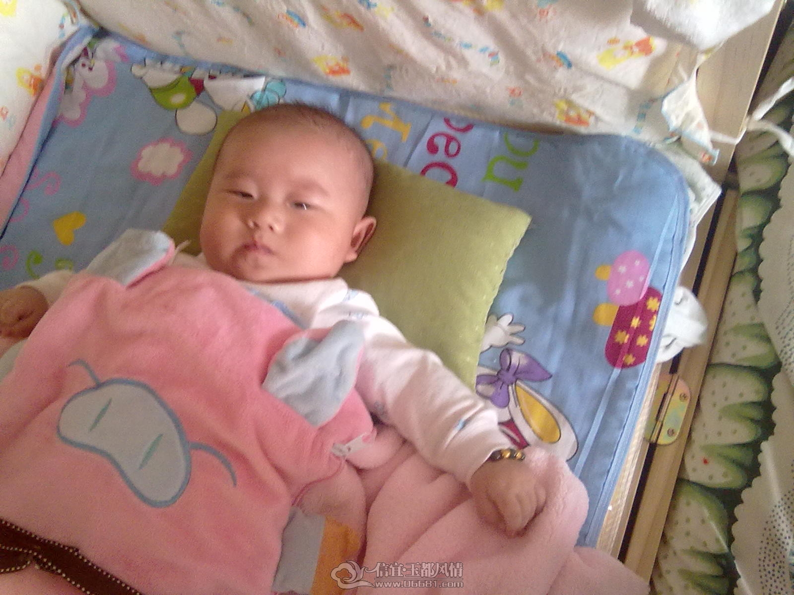 20121031470.jpg