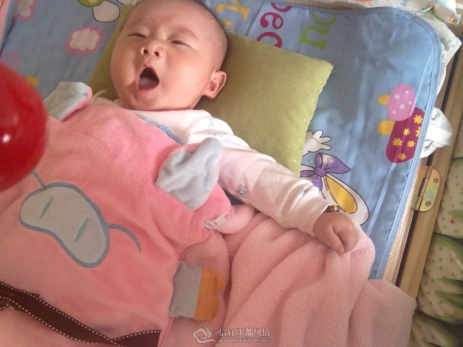 20121031471.jpg