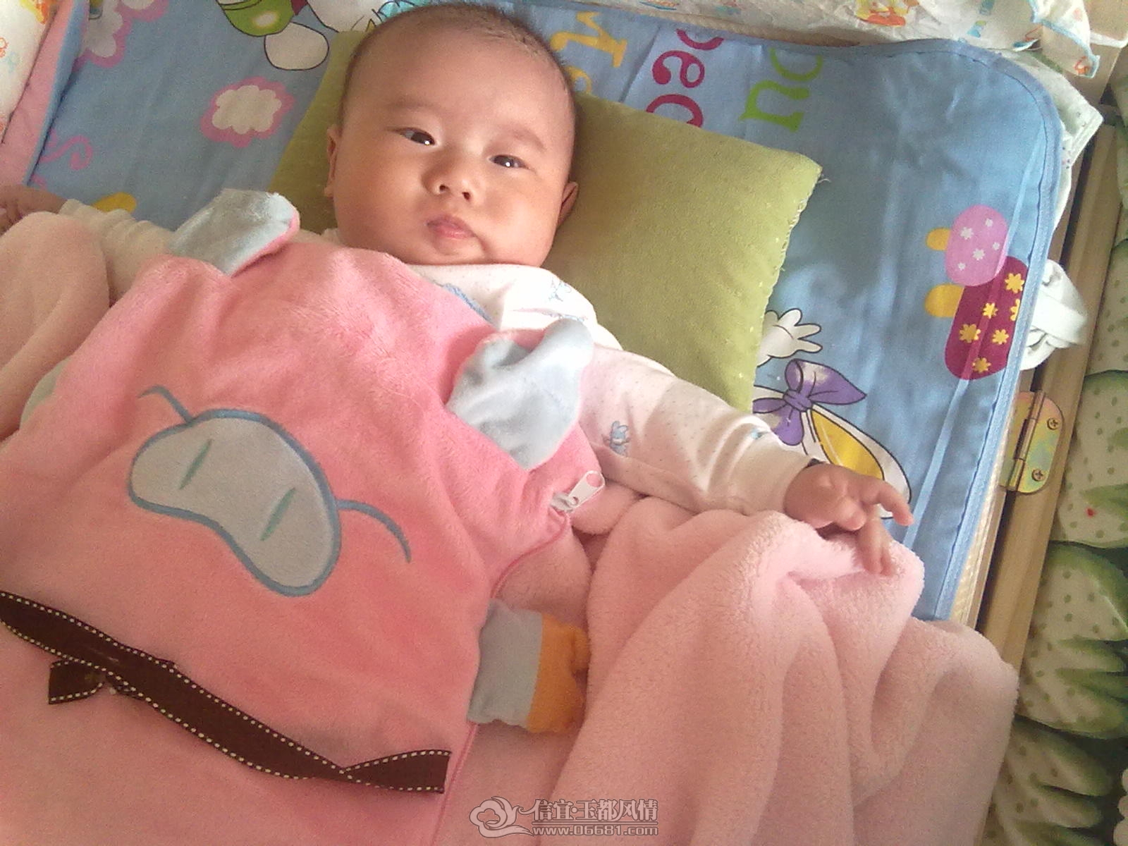 20121031474.jpg