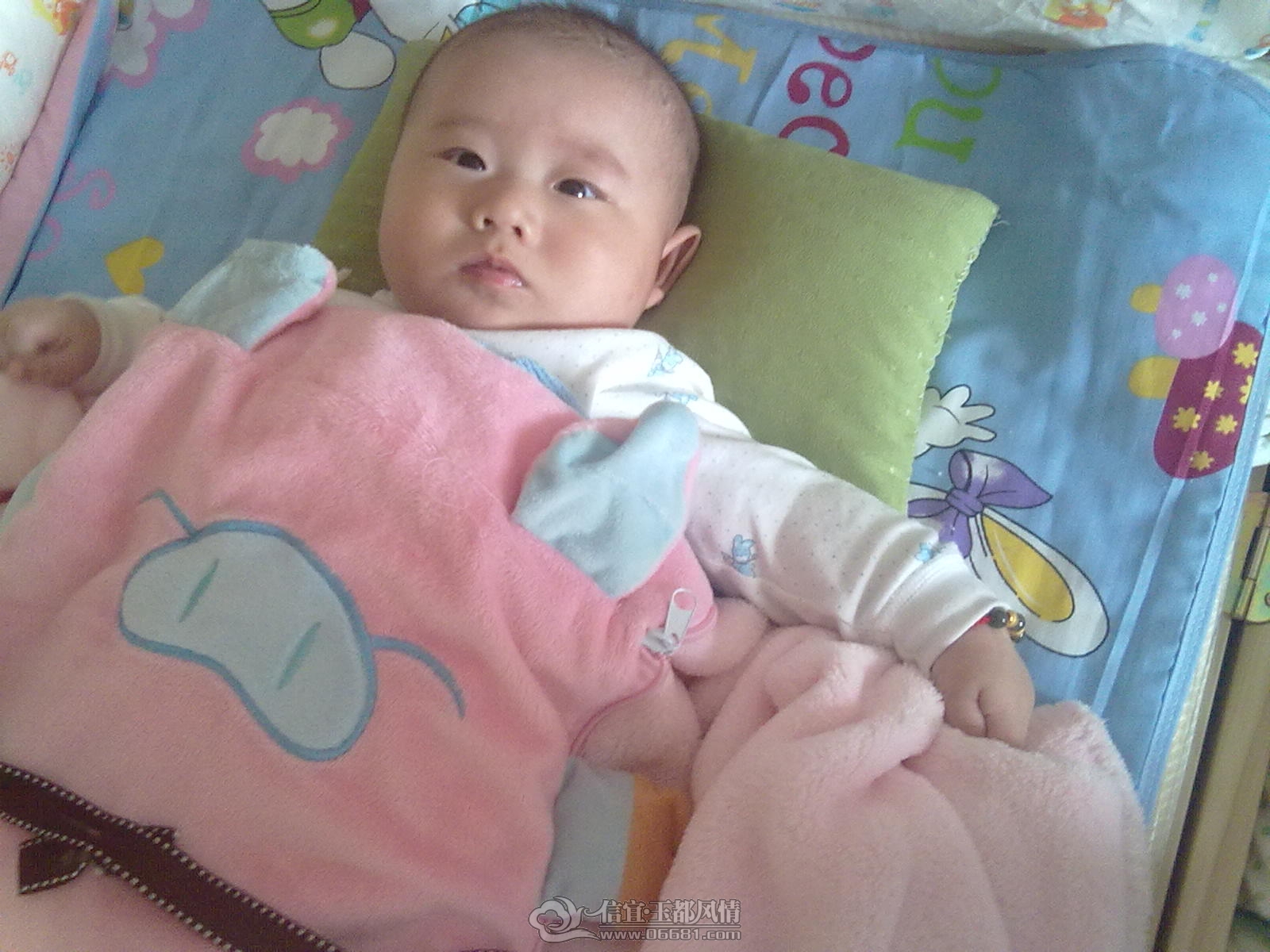 20121031479.jpg