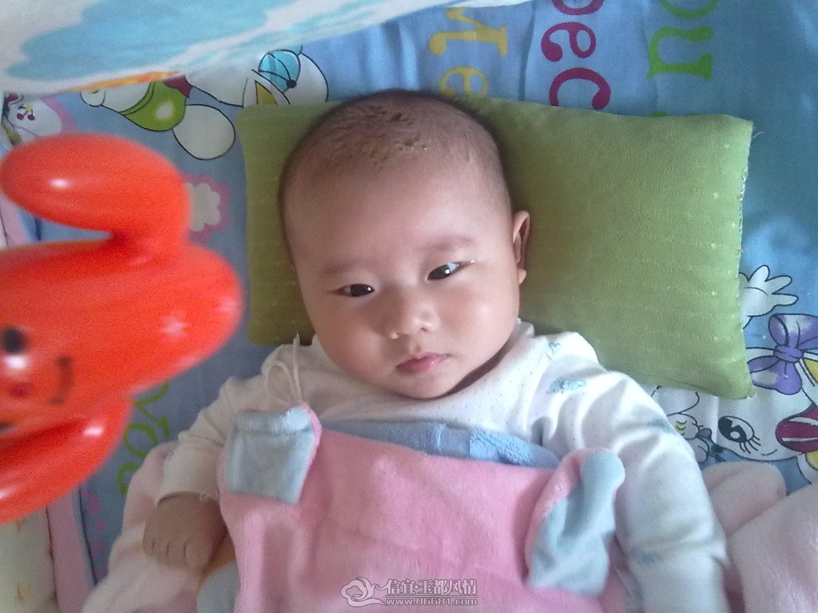 20121031480.jpg