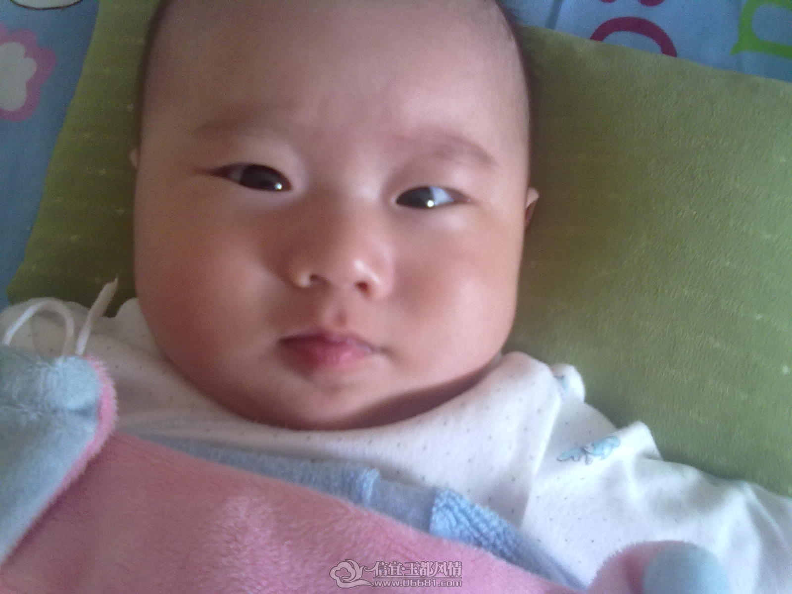 20121031484.jpg