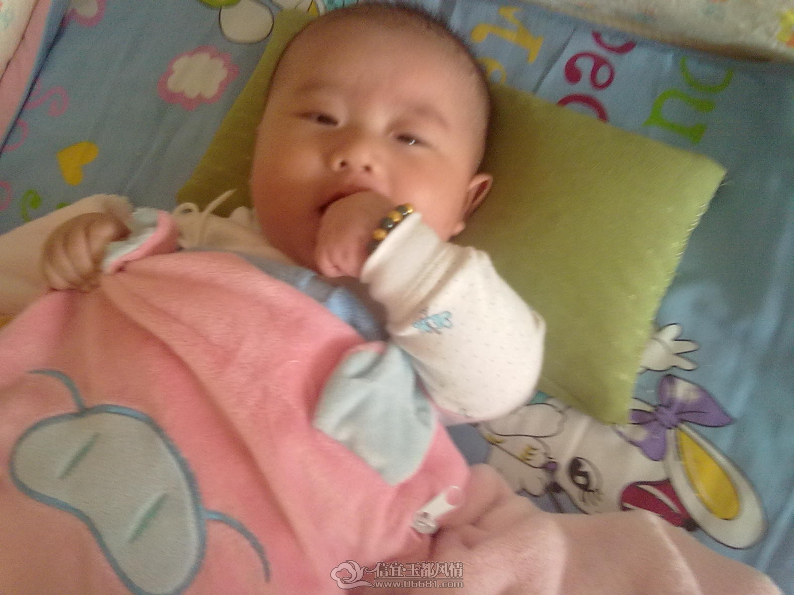 20121031486.jpg