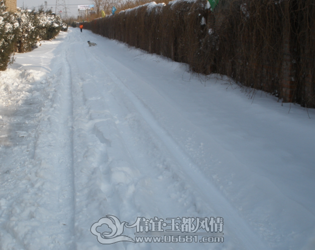 QQ��ͼ20121120192614.png