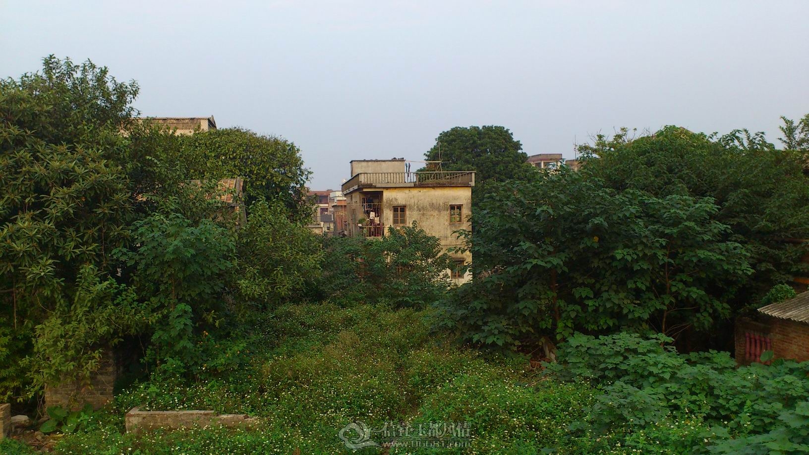 DSC_0115.JPG