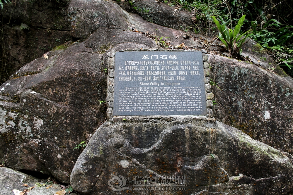 DPP_0018.JPG