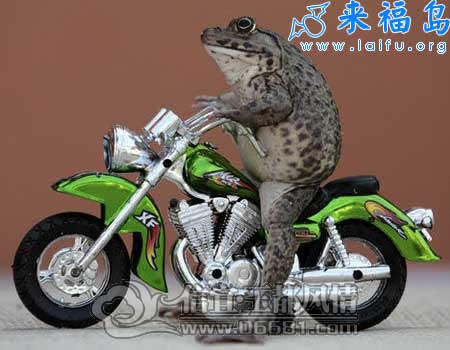 ��Ҳ���Լ���˽�ҳ�˧����.jpg