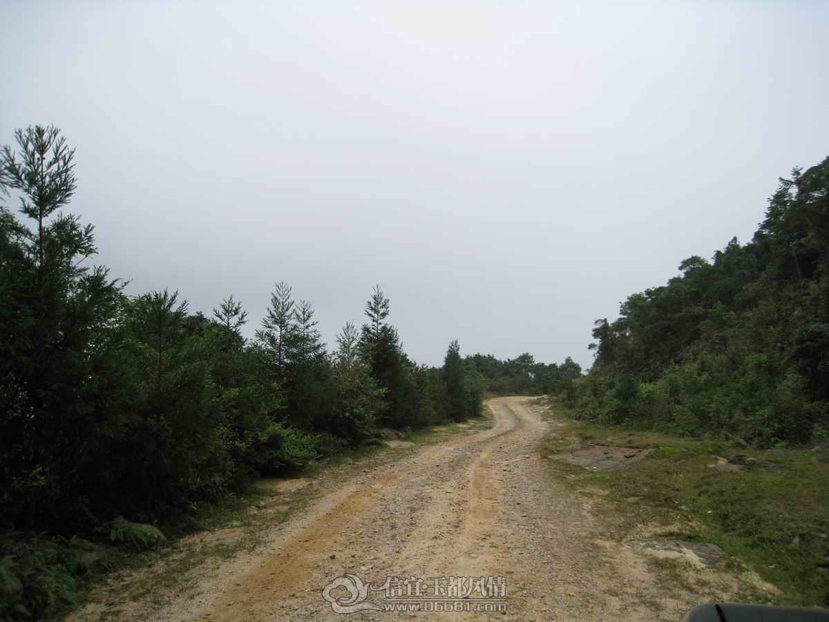 2008-10-02-������_72.JPG