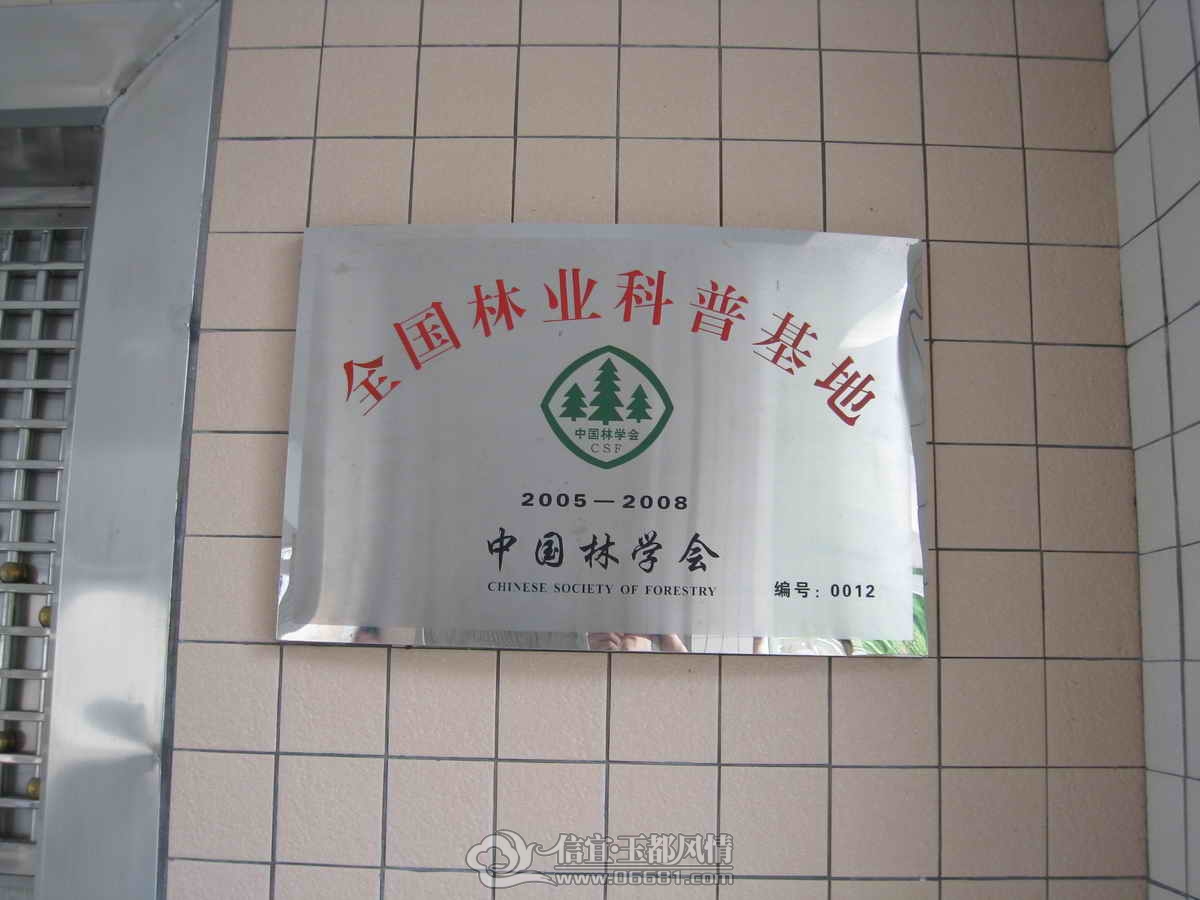 2008-10-02-������_82.JPG