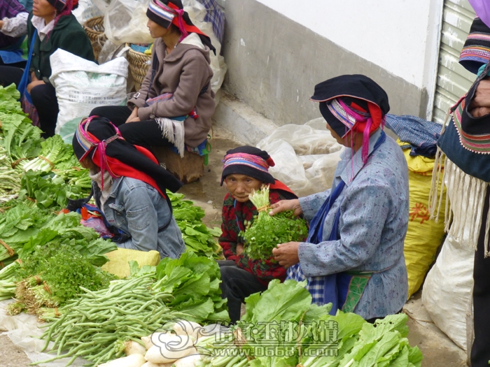 P1010216.JPG