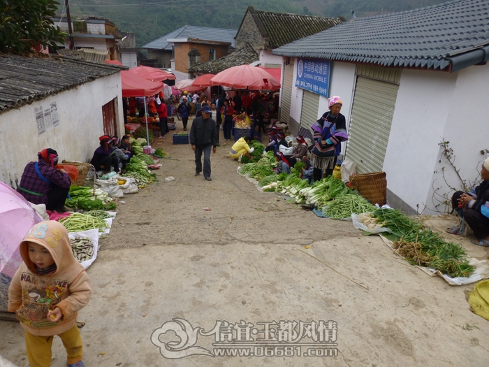 P1010215.JPG