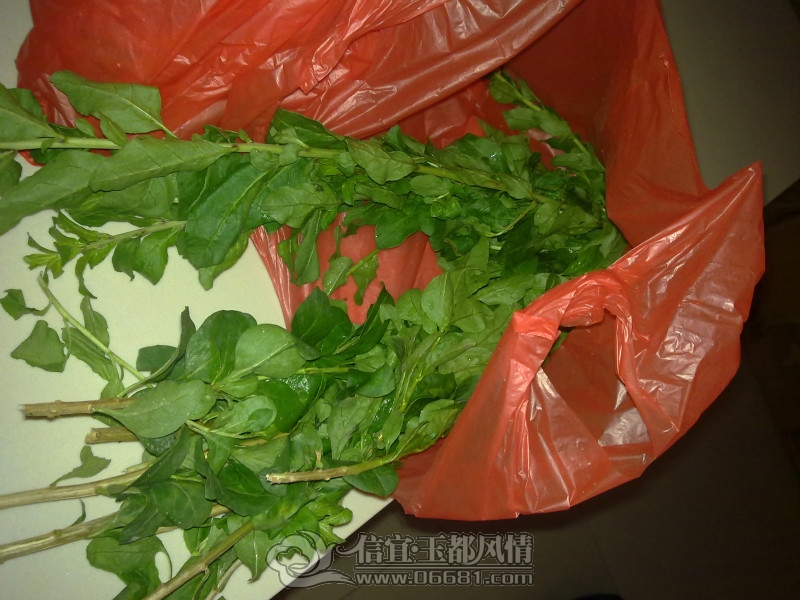 201211231924_meitu_2.jpg