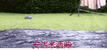 δ����.gif