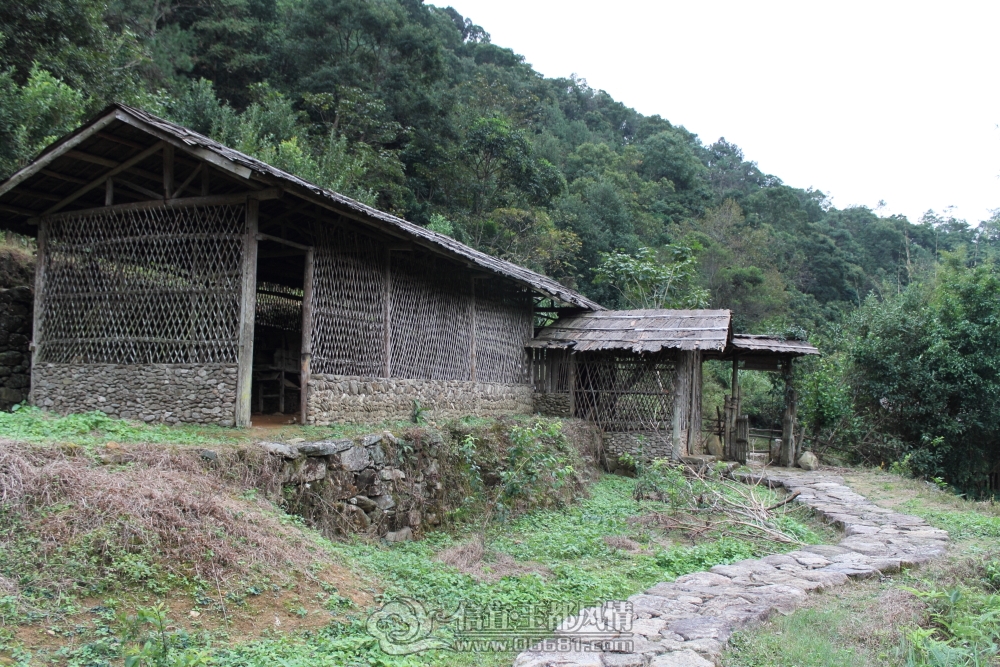 DPP_0084.JPG