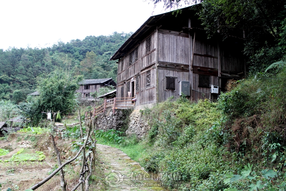 DPP_0085.JPG