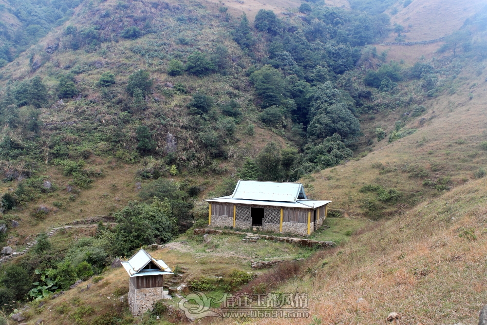 DPP_0101.JPG