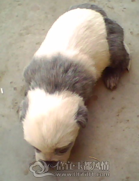 20121124144712.png