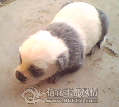 20121124144746.png