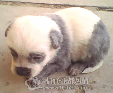 20121124144809.png