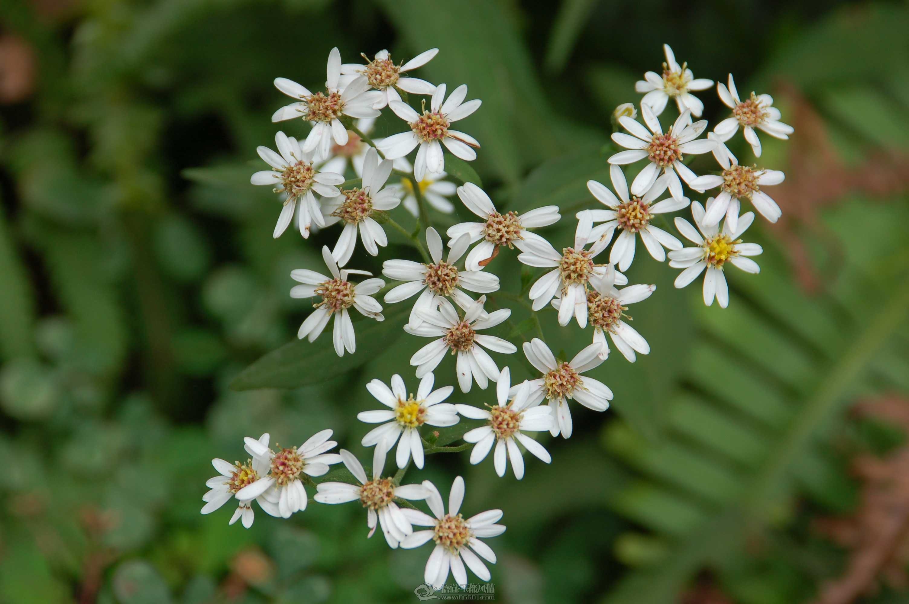 2008-10-02-������_����_1.jpg