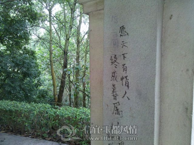 2012-11-25_12-16-48_0.jpg