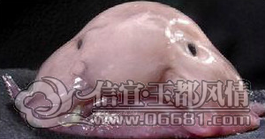 20121126155101.png