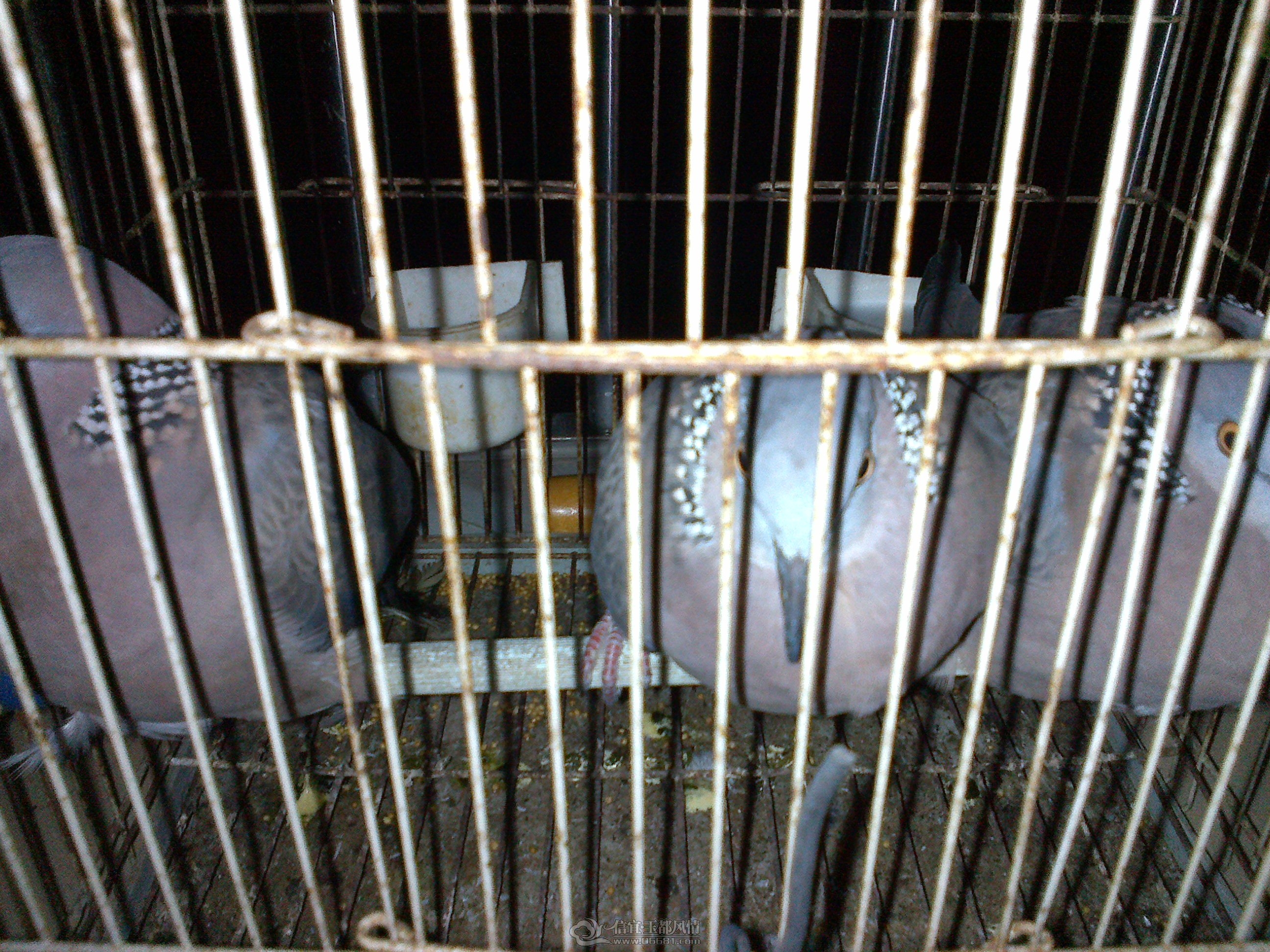 20121125201.jpg