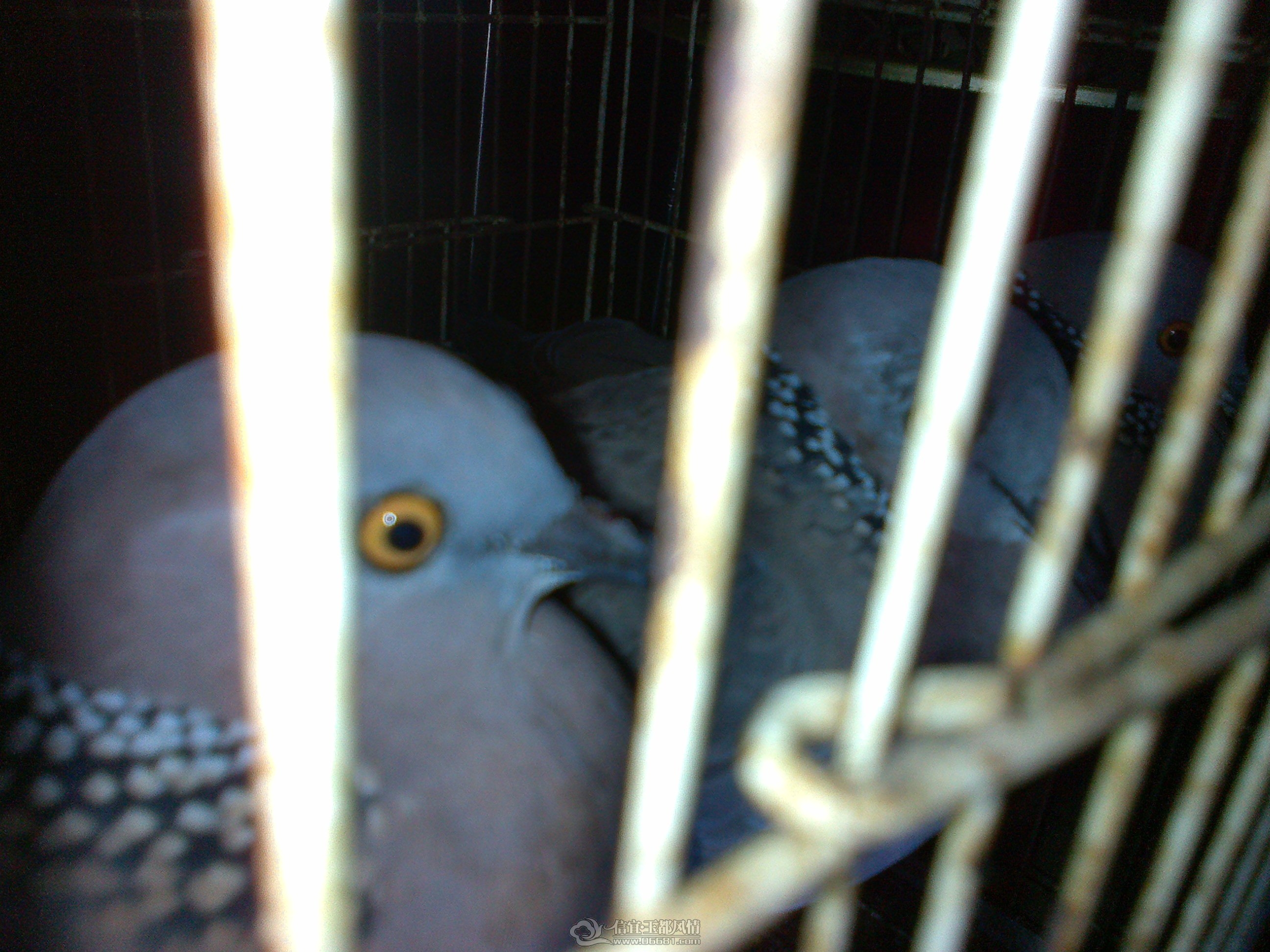 20121125204.jpg