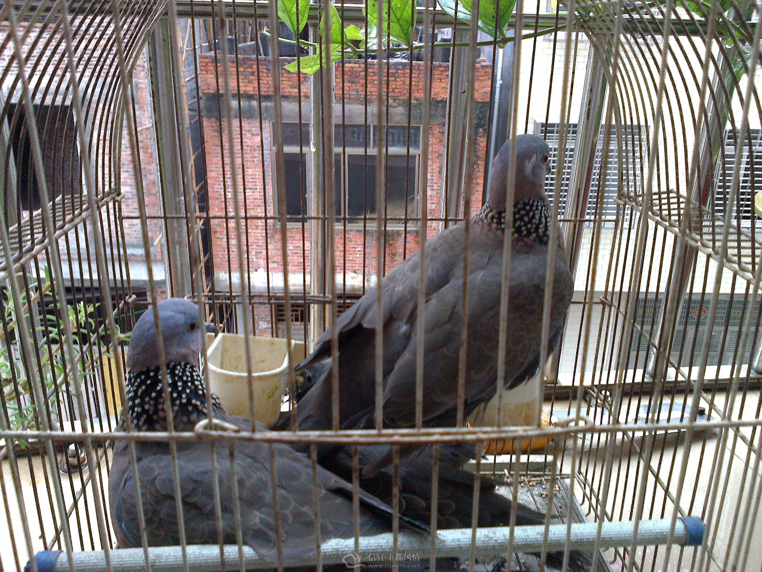 20121126206.jpg