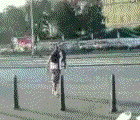 7_4a26397435ac0.gif