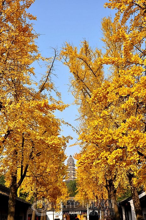 ���ݻ���3.jpg