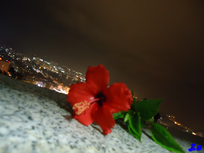 DSC07740_����.jpg
