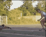 t02f4edc66f5e4062af.gif