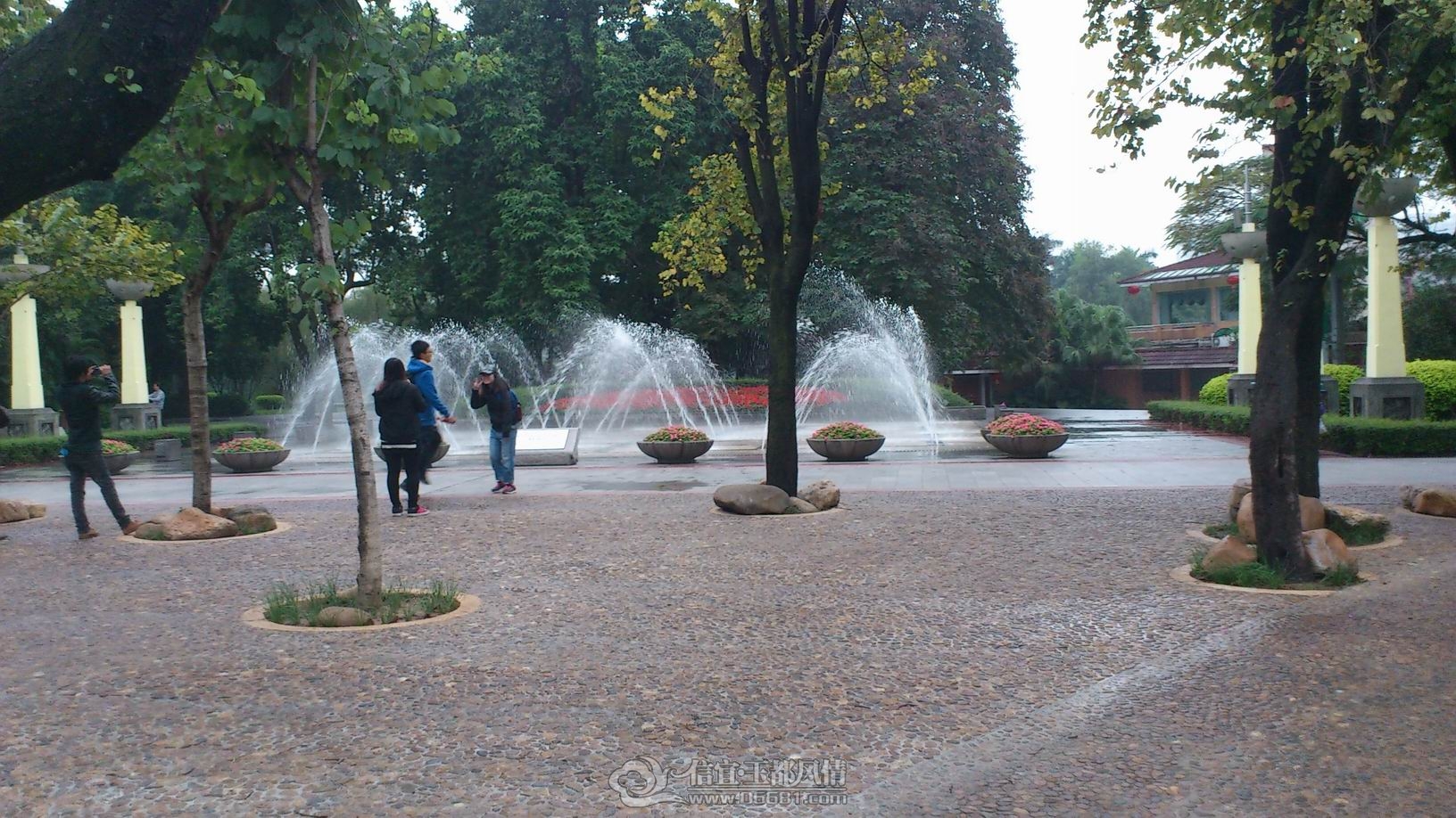 DSC_0479.JPG