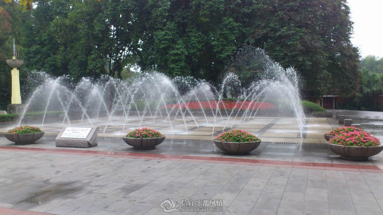DSC_0480.JPG