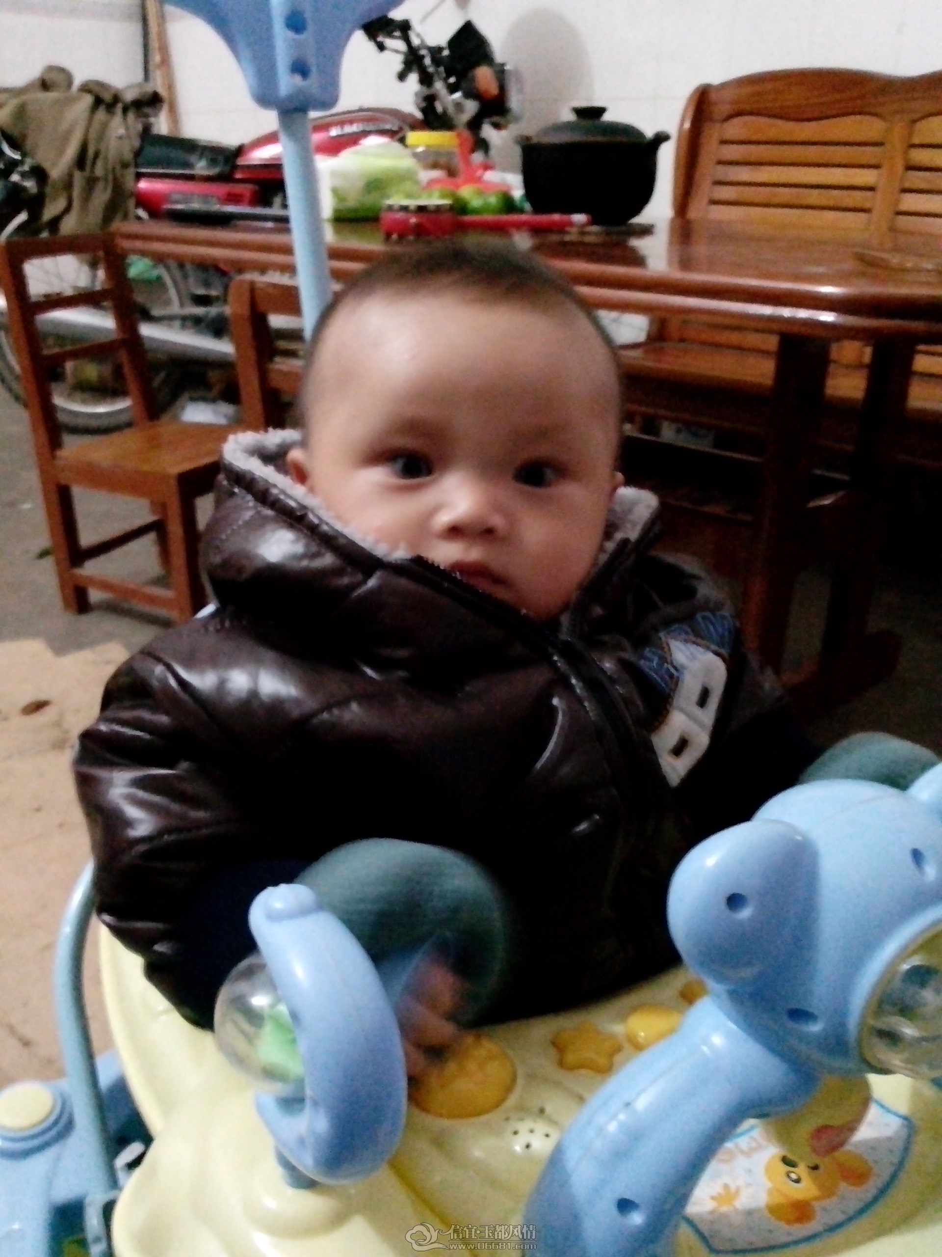 IMG_20121111_201959.jpg