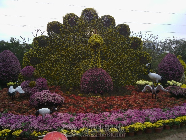 IMG_20121207_160633.jpg