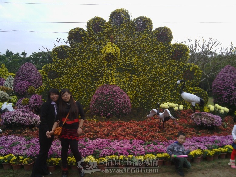 IMG_20121207_164529.jpg