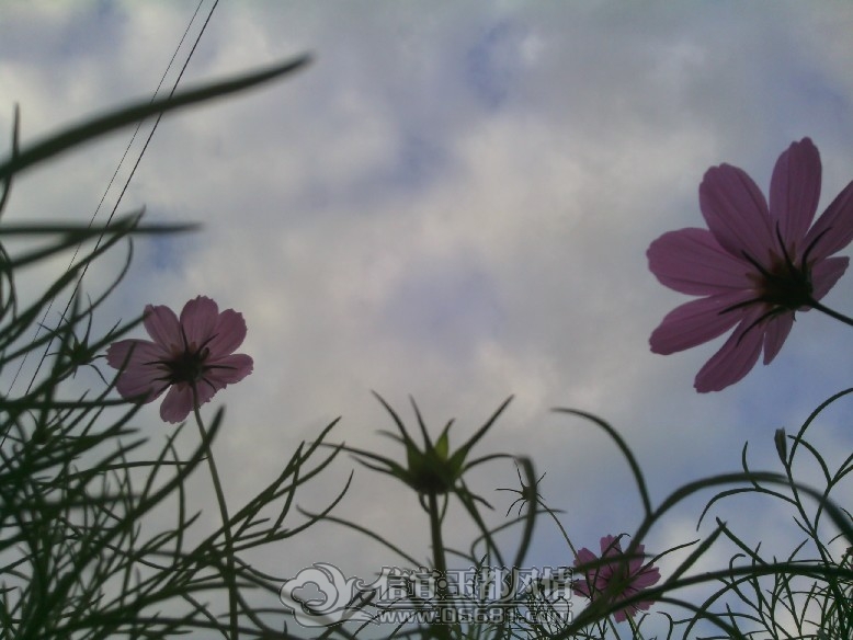 IMG_20121207_164957.jpg