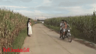 4544.gif