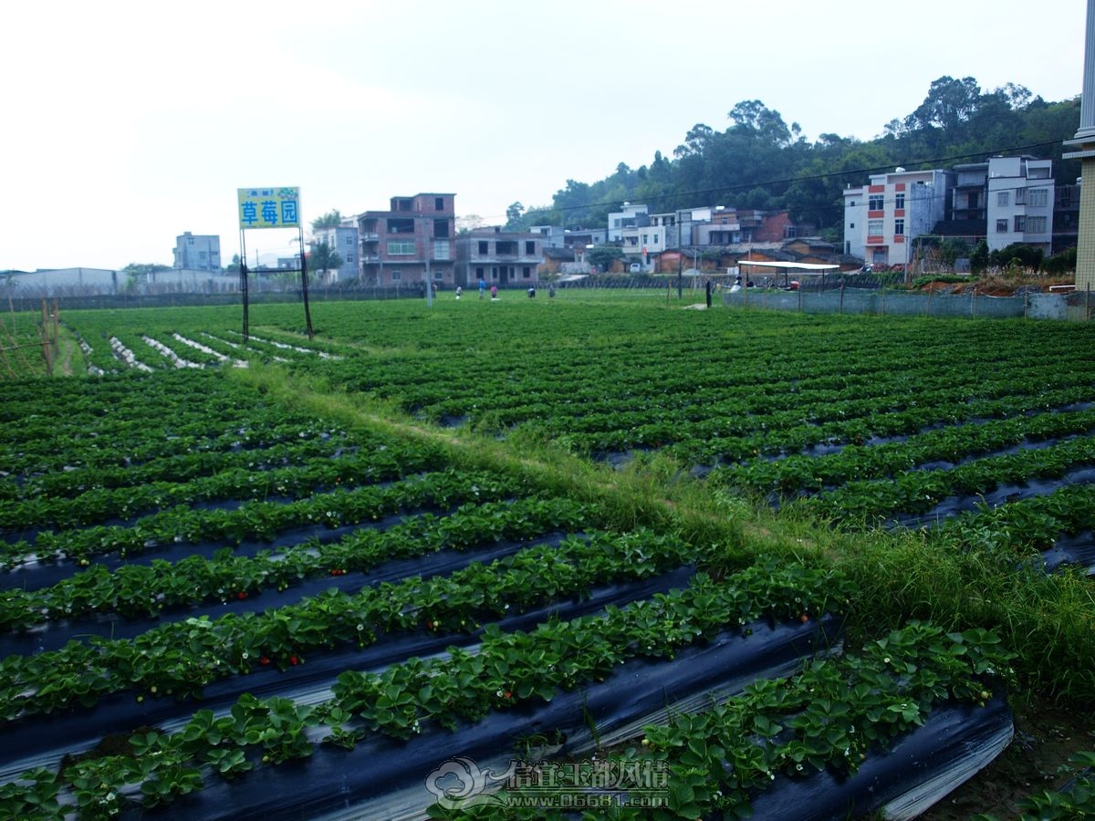 IMG-6543 (2).JPG